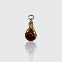 Load image into Gallery viewer, Vintage Carnelian Claw Pendant