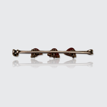 Load image into Gallery viewer, 19th Century Viennese Carnelian Egg Brooch in Original Box