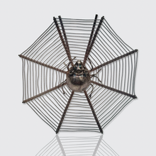 Load image into Gallery viewer, Set of Five Antique Silver Spider Web Place Card Holders