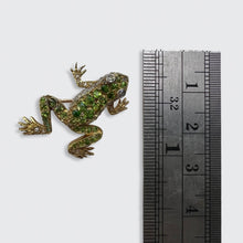 Load image into Gallery viewer, Victorian Frog Brooch