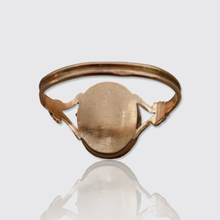 Load image into Gallery viewer, 19th Century Hairwork Forget Me Not Flower Ring
