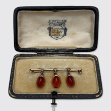 Load image into Gallery viewer, 19th Century Viennese Carnelian Egg Brooch in Original Box