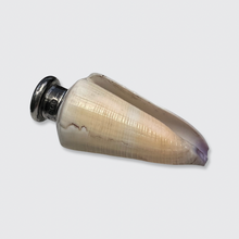 Load image into Gallery viewer, Shell Perfume Flask with Silver Cap, 1885