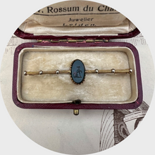 Load image into Gallery viewer, Bloodstone Whippet Intaglio Brooch