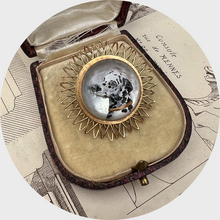 Load image into Gallery viewer, Round Essex Crystal Dalmatian Brooch