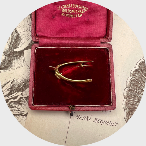 Lucky Wishbone Brooch in Original Box