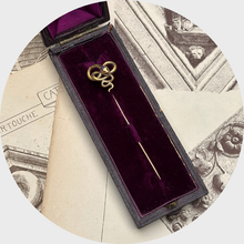 Load image into Gallery viewer, Antique Coiling Snake Stickpin