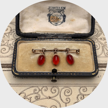 Load image into Gallery viewer, 19th Century Viennese Carnelian Egg Brooch in Original Box
