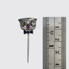Load image into Gallery viewer, Art Deco Winking Owl Pin