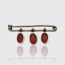 Load image into Gallery viewer, 19th Century Viennese Carnelian Egg Brooch in Original Box
