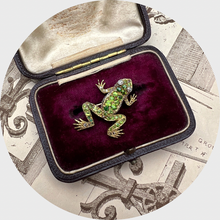 Load image into Gallery viewer, Victorian Frog Brooch