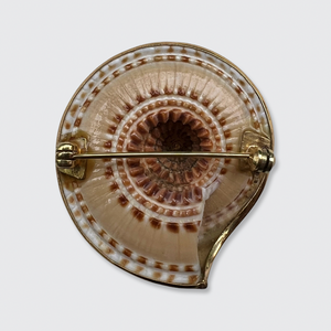 Vintage Sundial Shell Brooch