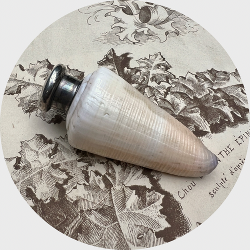 Shell Perfume Flask with Silver Cap, 1885