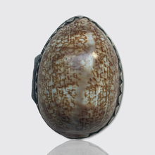 Load image into Gallery viewer, Antique Silver Shell Vinaigrette